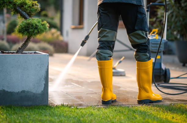 Best Gutter Cleaning in Mendota Heights, MN